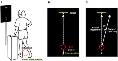 <mark class="highlighted">Visuomotor Adaptation</mark> of Lower Extremity Movements During Virtual Ball-Kicking Task